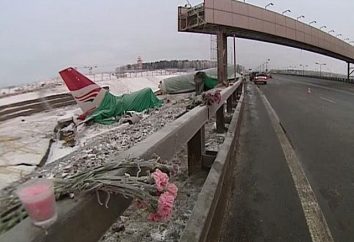 Crash d'un avion à Vnukovo 29 Décembre, 2012: les causes, les enquêtes, victime