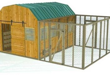 Comment construire un hangar pour les poulets avec leurs mains?