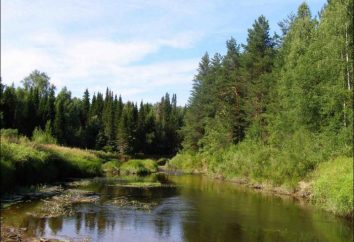 Region Nischni Nowgorod: Parks und Naturschutzgebiete. Reserven Region Nischni Nowgorod: Kerzhensky, Ichalkovsky, Vadskoe und See Svetloyar