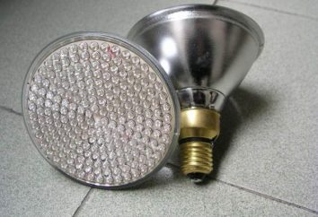 As lâmpadas de halogéneo para a casa: vantagens e critérios de selecção