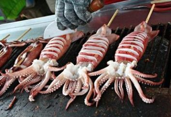 Vantaggi, danno e il contenuto calorico di calamari cotti