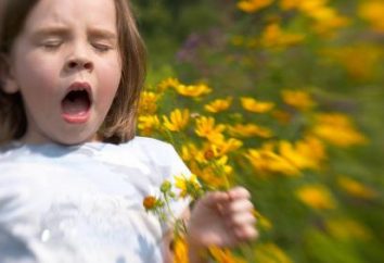 alergie trawy dla dzieci. Zbieranie ziół leczniczych z alergią