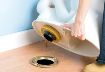 Démontage de la toilette avec ses mains – les caractéristiques et les recommandations