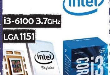 Intel Core i3-6100 Processeur: avis, examen, les caractéristiques, les tests d'overclocking