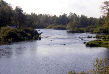 Fiume Vuoksi. fiume Vuoksi nella regione di Leningrado