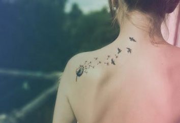 Jakie są wartości tatuaż: ptaki
