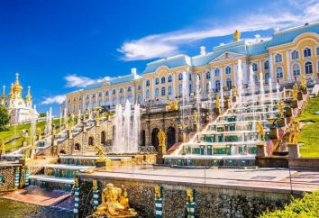 Jaka jest najdłuższa ulica w Petersburgu?