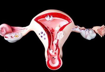 Giovanile sanguinamento uterino: cause, diagnosi differenziale e trattamento