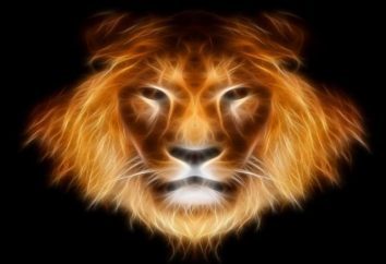 Comment gagner le Leo le Lion? Horoscope: lion femelle et un lion mâle