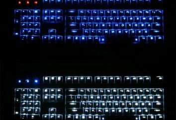 teclado retroiluminado hecho en casa o cómo utilizar el teclado en la oscuridad