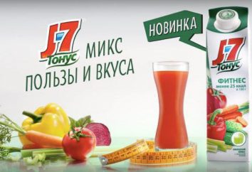 Juice "Dzhey Seven" – linea di sapori