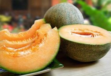 Melony, których odmiany są mało prawdopodobne