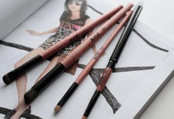 Nur Bürste: Make-up-Künstler und Fans beachten