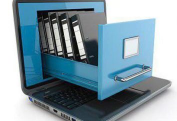 Descrivere il sistema di archiviazione file sul disco. File Organizzazione del sistema
