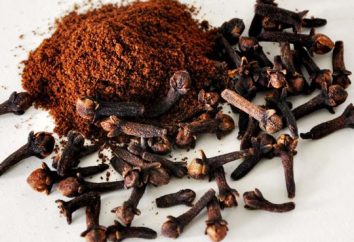 Cravo Perfumado: Spice for Cooking and Medicine