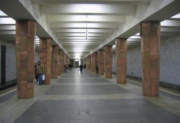 Die U-Bahn-Station „Kaluzhskaya“: Beschreibung, U-Bahn-Bereich