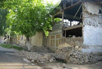 Terremoto in Uzbekistan: revisione, caratteristiche, storia e fatti interessanti