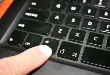 ¿Cómo insertar un botón en un ordenador portátil? Button se retiró de la portátil – ¿Qué hacer?