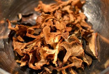 Sałatki suszonych grzybów: recepty