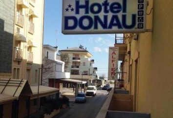 Donau Hotel 3 * (Rimini, Italia): fotos y comentarios