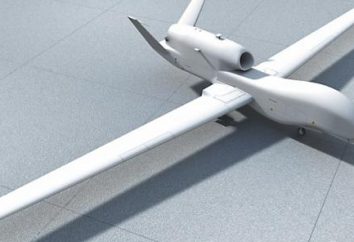 vehículos aéreos no tripulados. características aviones no tripulados