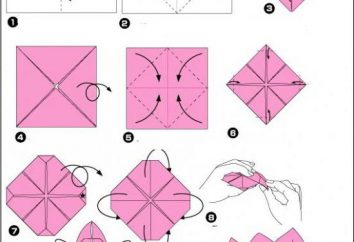 Master class, come fare l'origami loto