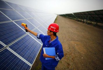 La Cina ha costruito una fattoria solare, che si presenta come un panda gigante