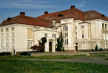 Historia regionalna i Muzeum Sztuki Kaliningradzie: opis, historia i opinie