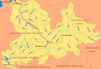 Vychegda – un fiume nella Repubblica di Komi. Descrizione, foto