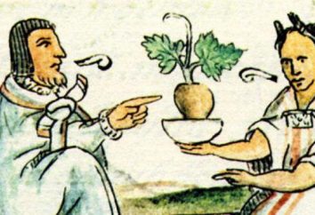 "Travnik. plantas medicinais e sua aplicação "- um livro interessante para os amantes de medicamentos naturais