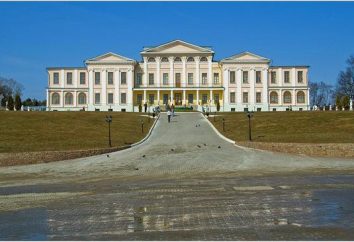 Dubrovitsy – Granja. Golitsyn Manor. Dubrovitzy (Manor) – foto