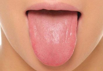 Les muscles de la langue. Langue: anatomie, les photos
