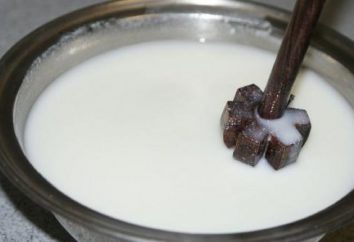Un subproducto en la fabricación de mantequilla – suero de leche: ¿qué es?