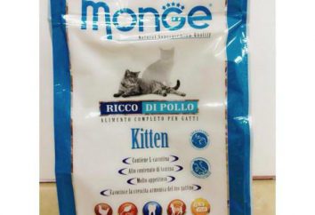 cibo Monge per i gatti: i pro ei contro, recensioni