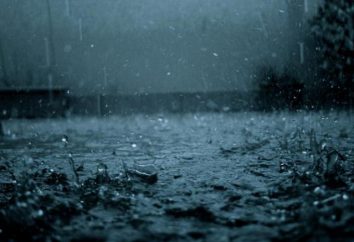 pioggia incessante – è un dono del cielo, o di una catastrofe naturale?