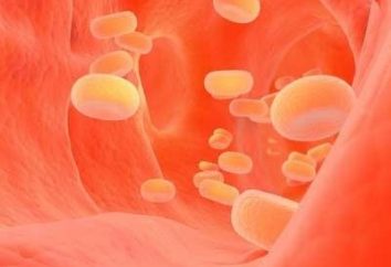 Wie Cholesterin im Blut senken: Tipps und Tricks