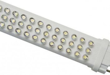 Co lepsze żarówki – diody LED lub energooszczędne? Opis, charakterystyka