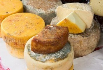 Włoski ser. Nazwy i cechy włoskich serów