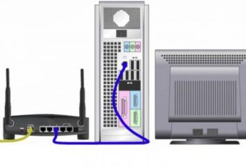 Comment entrer les paramètres du routeur? Comment entrer dans le routeur TP-Link et le D-Link?