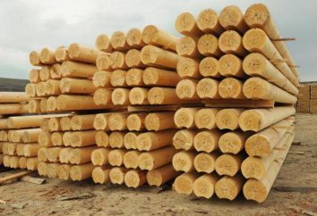 madeira calibrada: características, vantagens e desvantagens. Projetos e construção de casas de troncos calibrados