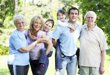 Família. Definição da família. Grande família – Definição