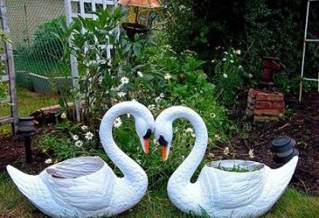 Swans da una bottiglia di plastica – decorazione perfetta per il vostro giardino