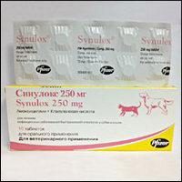 Drug "Sinuloks" (per i gatti). Caratteristiche dell'applicazione