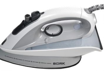 Ferro Bork I500: manual, comentários