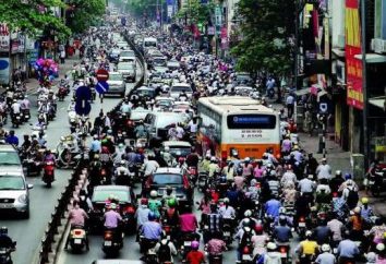 Vietnam Bevölkerung: Bevölkerungsdichte. Bereich von Vietnam und seinen Menschen. Vietnams BIP pro Kopf Bevölkerung