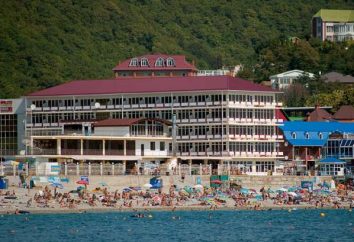 Hotel "Estrella de mar" (distrito Ol'ginka / Tuapse): características, servicios, opiniones, fotos