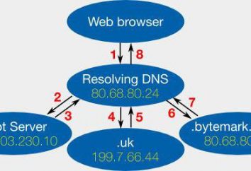 DNS-Server antwortet nicht, was in einer solchen Situation zu tun?