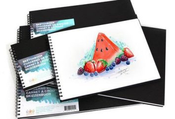 Sketchbook: ¿qué puedes dibujar en un cuaderno? Consejos y Trucos