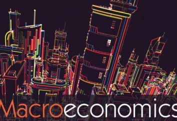 Che cosa è una macro e microeconomia?