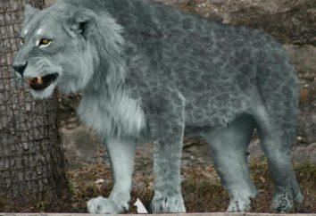 Jaskini lwa – starożytny drapieżnik
